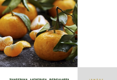 Tangerina, mexerica, bergamota: confira nove benefícios da fruta